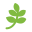 cbddrogist.nl logo