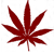 cbdoil.vegas icon