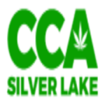 cca2go.com icon
