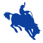ccfair.com icon