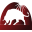 ccn.com.uy icon