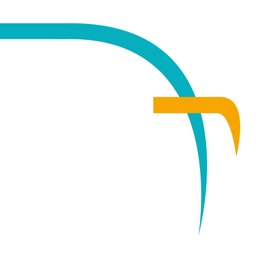 cebus-celle.de icon