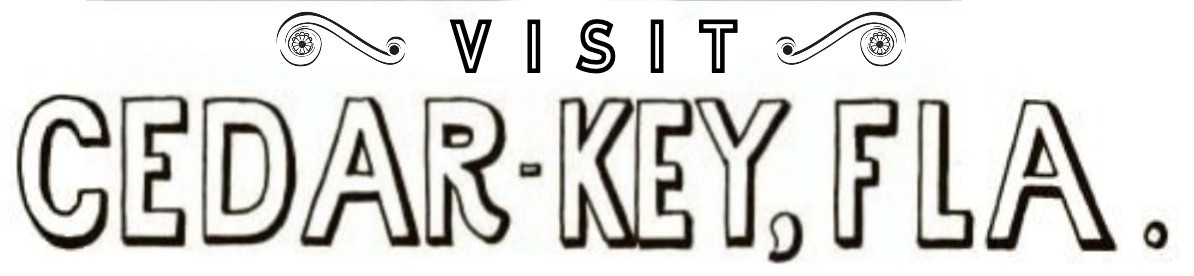 cedarkey.org icon