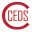 cedsdigital.it icon
