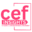 cefinsights.com logo