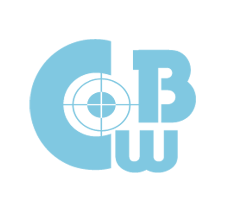 celebritybiographywiki.com icon
