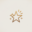 celebrityhints.com icon
