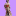 celebsex.xyz icon