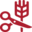 celiacosmadrid.org icon