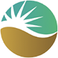 cellsurgicalnetwork.com icon