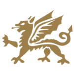 celtic-manor.com logo