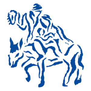 cemi.org.ar logo