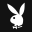 centerfold.com icon