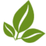 centerforagroforestry.org icon