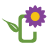 centralsquareflorist.com icon