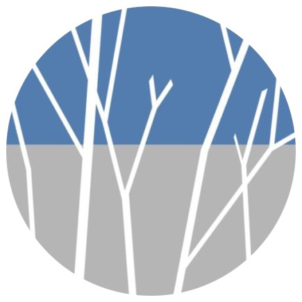 centroterapiastrategica.ru icon