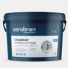 cerabran.com icon