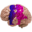 cerebrito.com logo