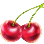 ceri123ca.com icon