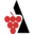 cervim.org icon