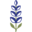 cfns.ca icon