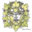 challengeduvin.com icon