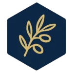 chamasfrance.fr icon