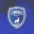 chamoisniortais.fr icon
