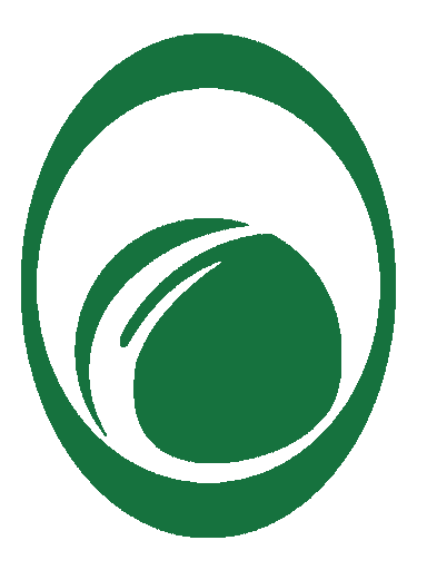 championsinsurance.co.zw logo