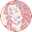 chanbeaute.com icon