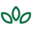 chapelwood.org icon