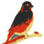 chatgpt-i18n logo
