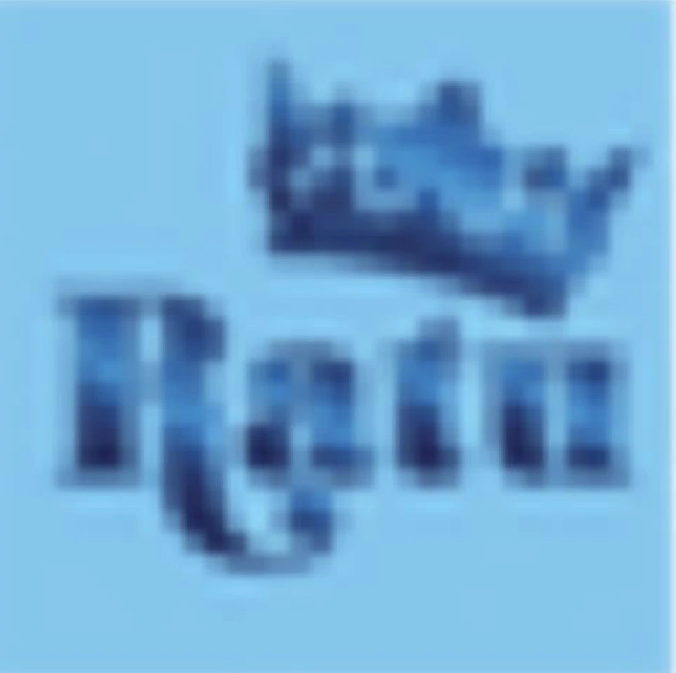 checkrobin.com icon