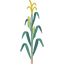 Cherry Crest Adventure Farm icon