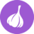 chesnok-discount.ru icon