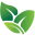 chhajedgarden.com icon