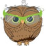 childrenssafetyglasses.com.au icon