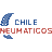 chileneumaticos.cl icon