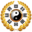chinesemetasoft.com icon