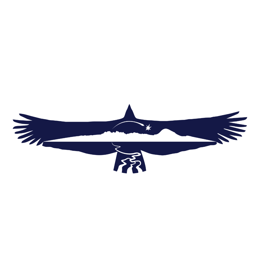 chirpca.org icon