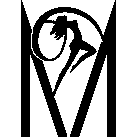 chirurgiaesteticaeumedica.it icon