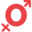 chistosex.date icon