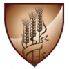 christianharvestintl.org icon