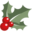 christmaholic.nl icon