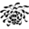 chrysanthium.com icon