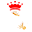 ciaroms.com icon