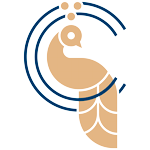 ciels.it icon