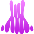 cillago.com icon