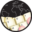 ciranda.net icon