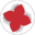 circolobdr.it icon